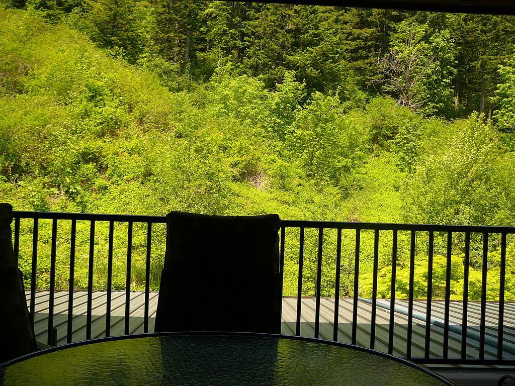 Bonneville Hot Springs Resort & Spa North Bonneville 部屋 写真